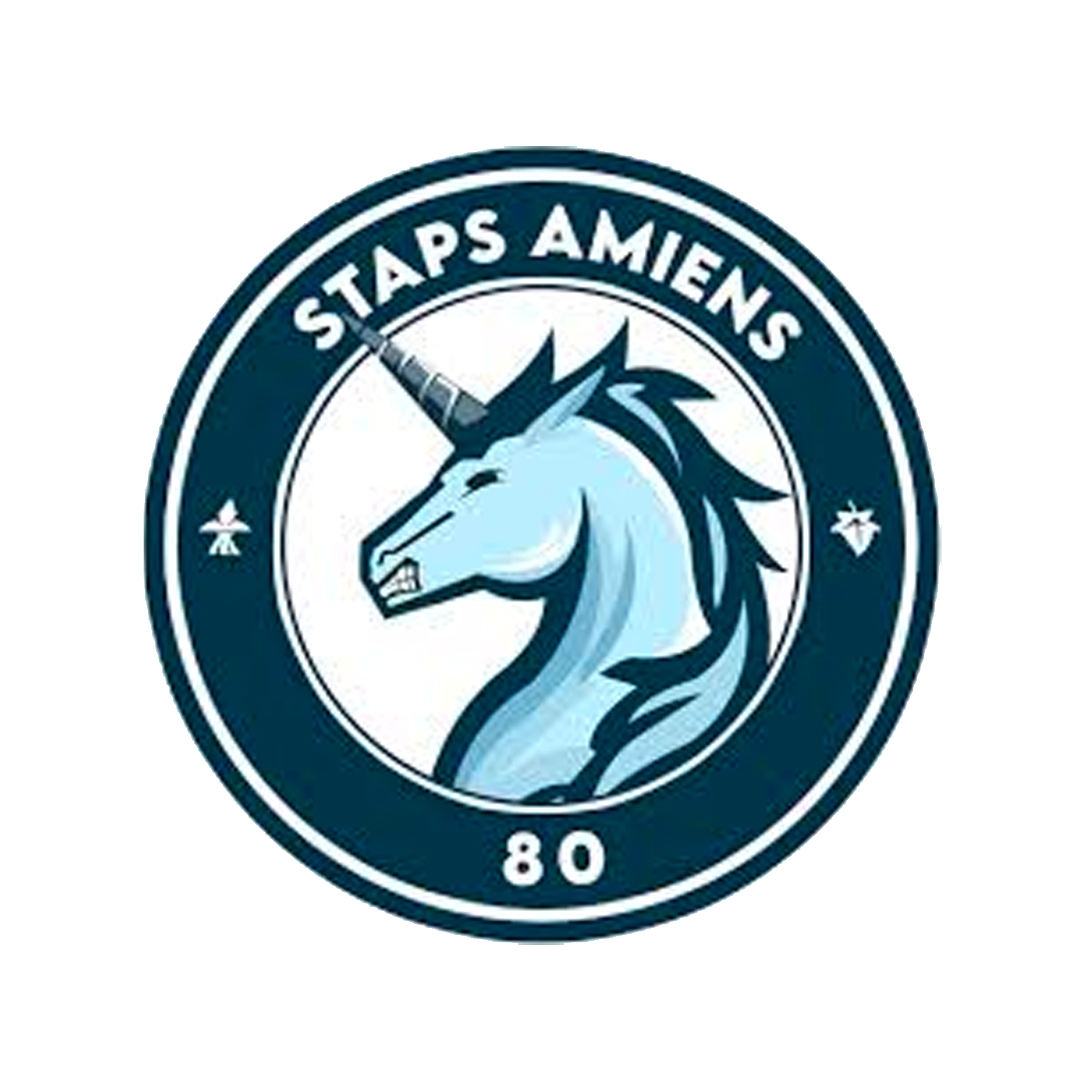 STAPS Amiens ADESA – Staps Merch